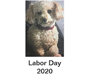 Labor Day 2020